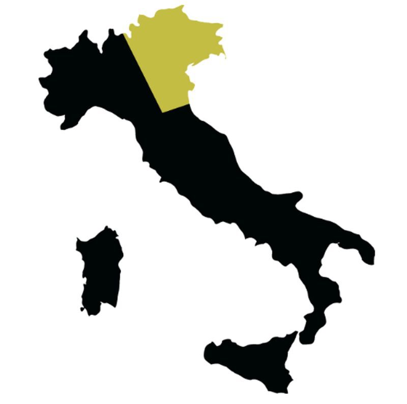 Map of Italy with Ecco Domani regions highlighted